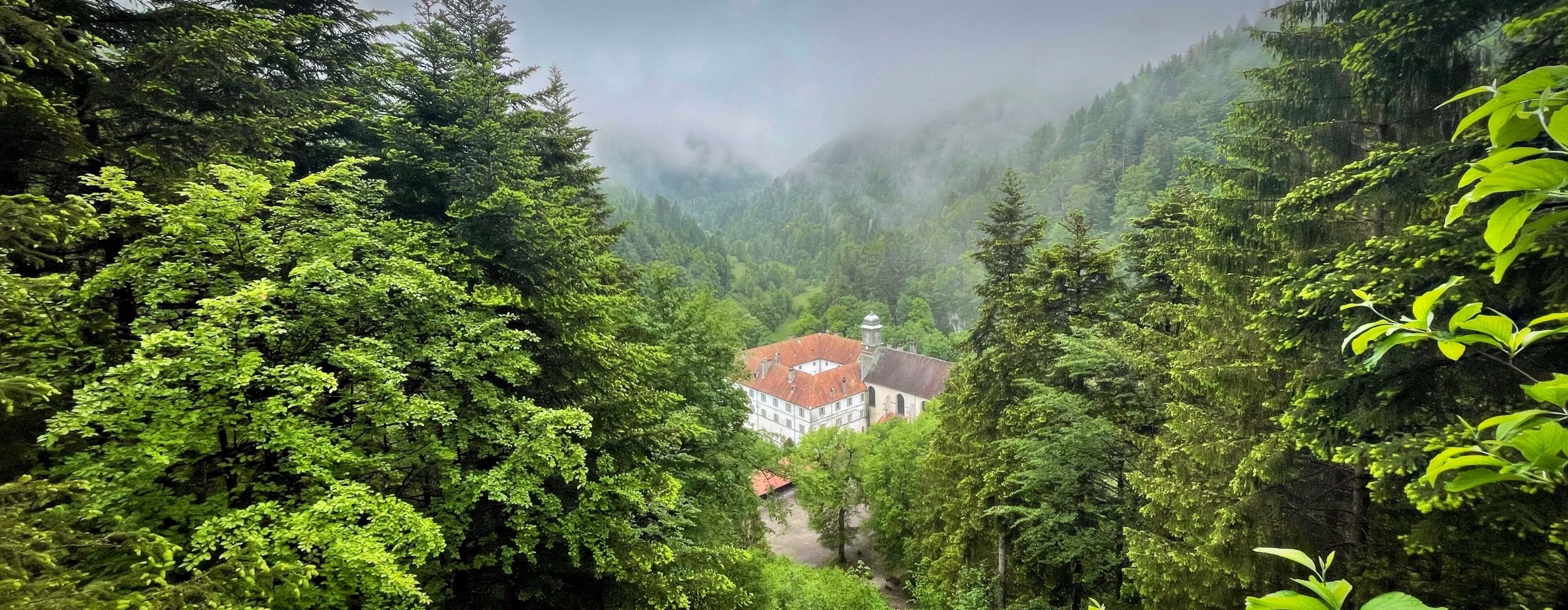 Un bâtiment entouré d’une forêt dense, avec un chemin bien visible qui y mène.