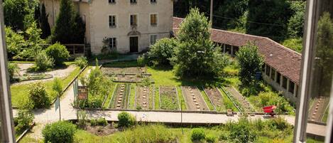 A view of a garden with a building in the background.