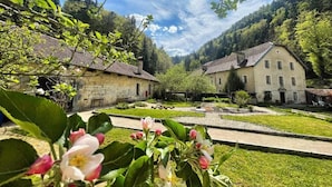 Un patio con edificios de piedra, un sendero pavimentado y abundante vegetación.