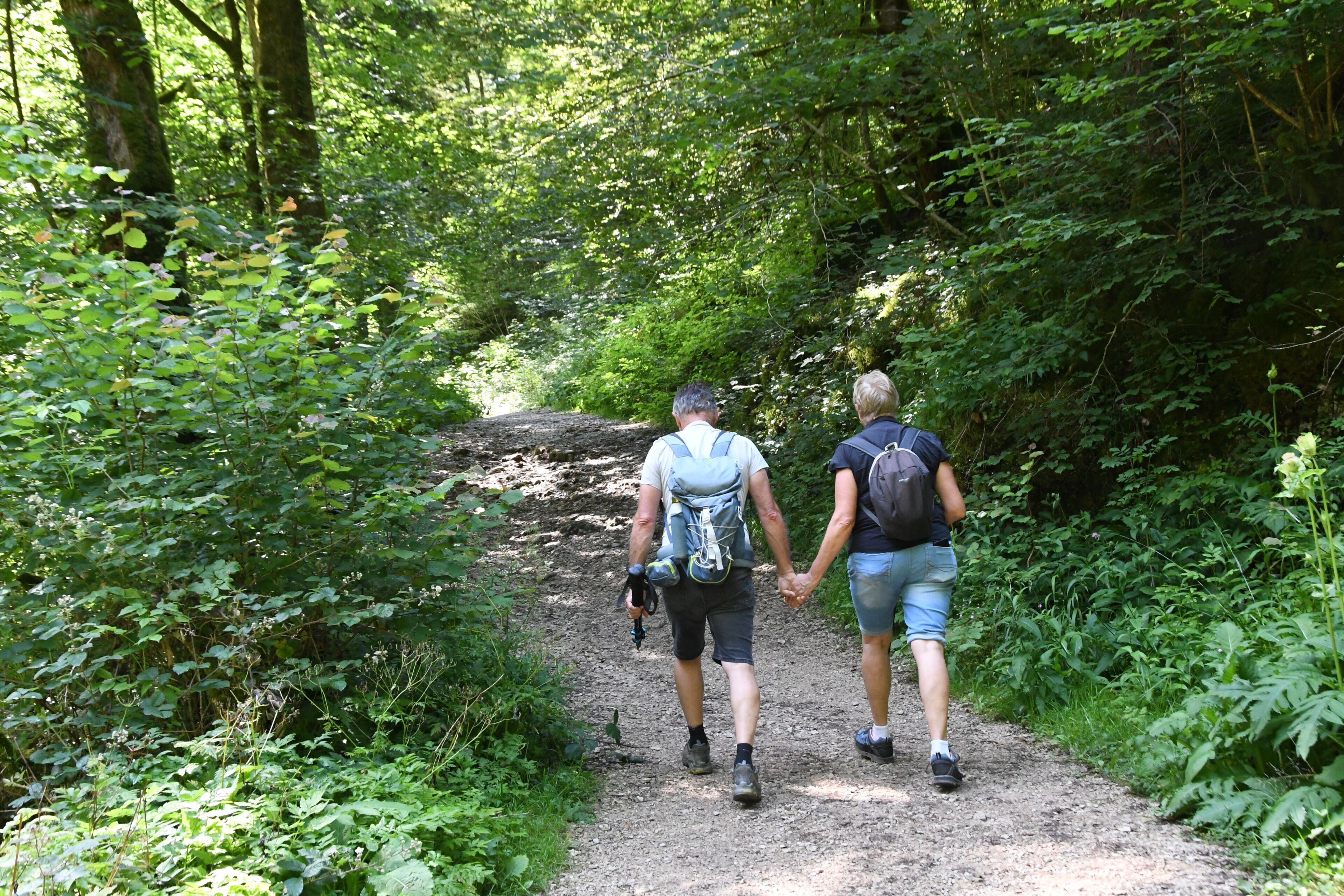 Twee mensen wandelen op een bospad.