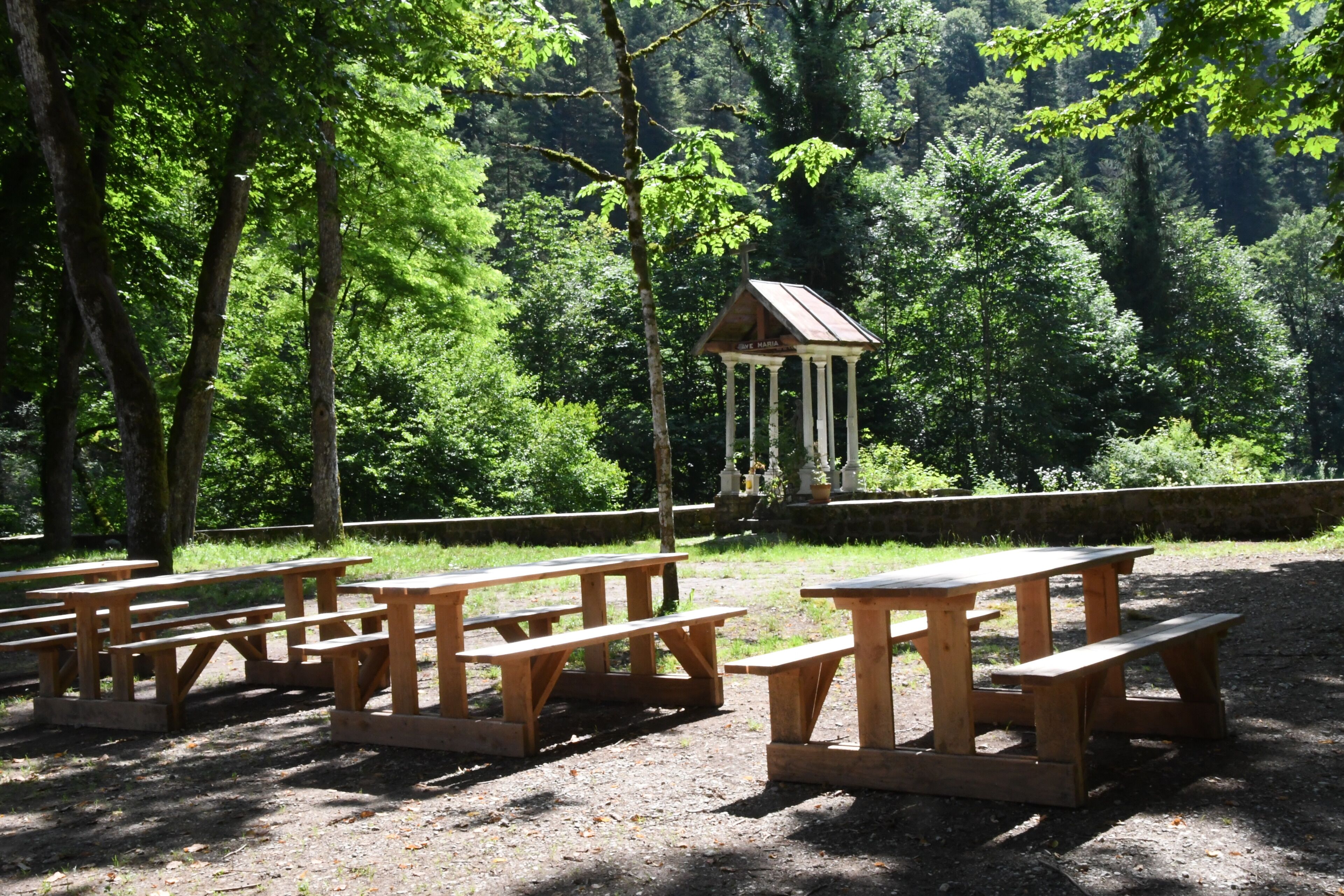 Un área de picnic con mesas y bancos de madera, rodeada de árboles.
