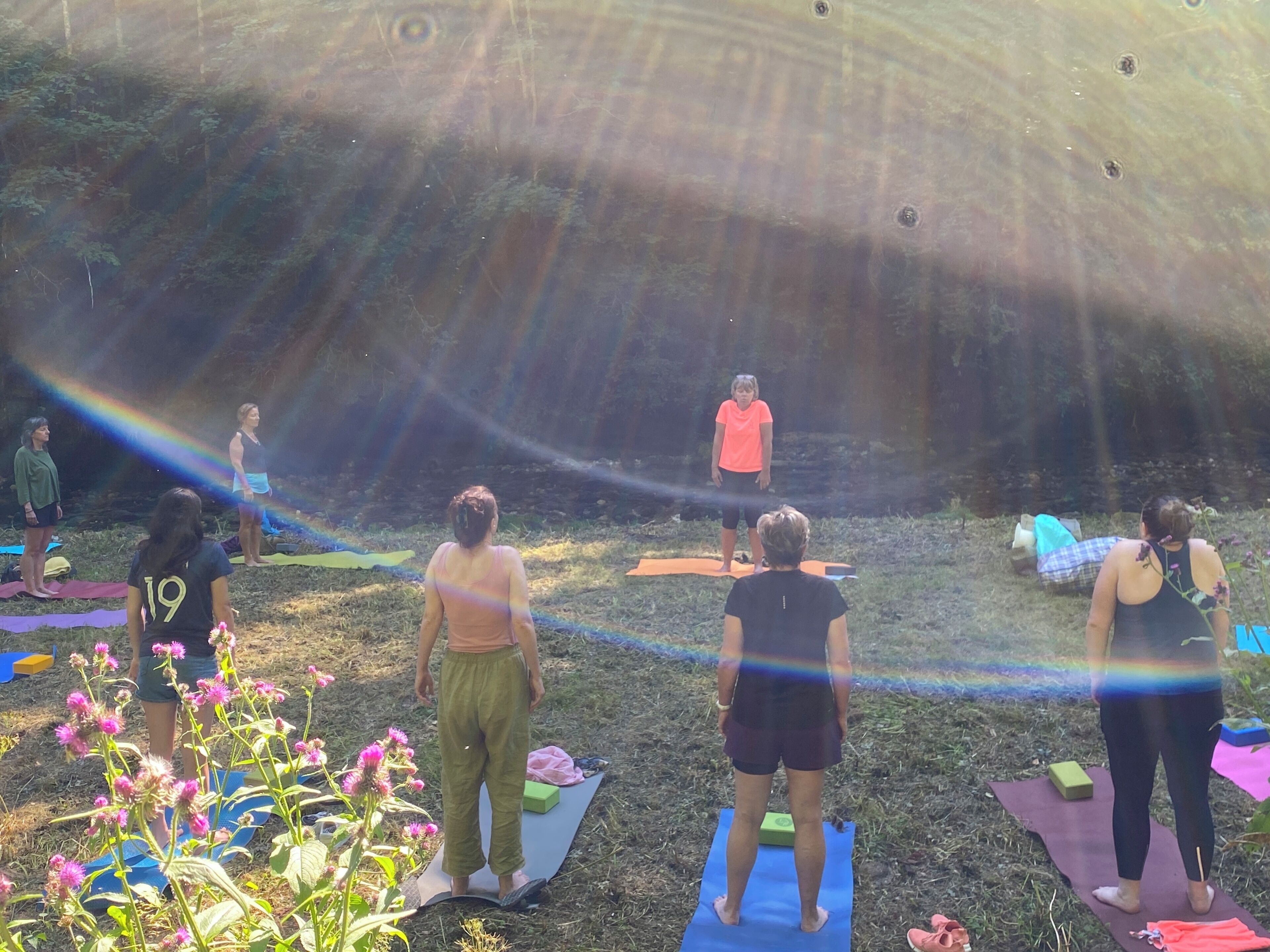 A group of people on outdoor exercise mats in a natural setting.