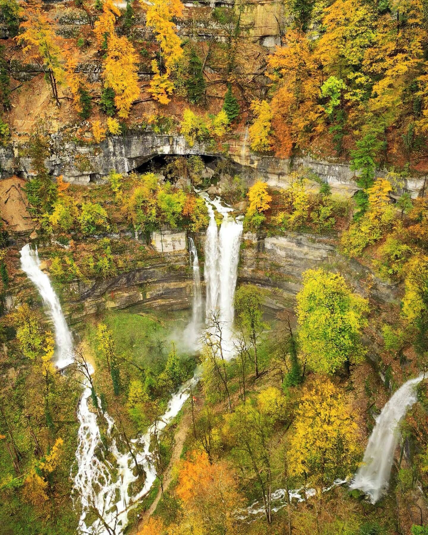 A waterfall surrounded by autumn foliage.