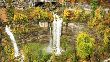 A waterfall surrounded by autumn foliage.