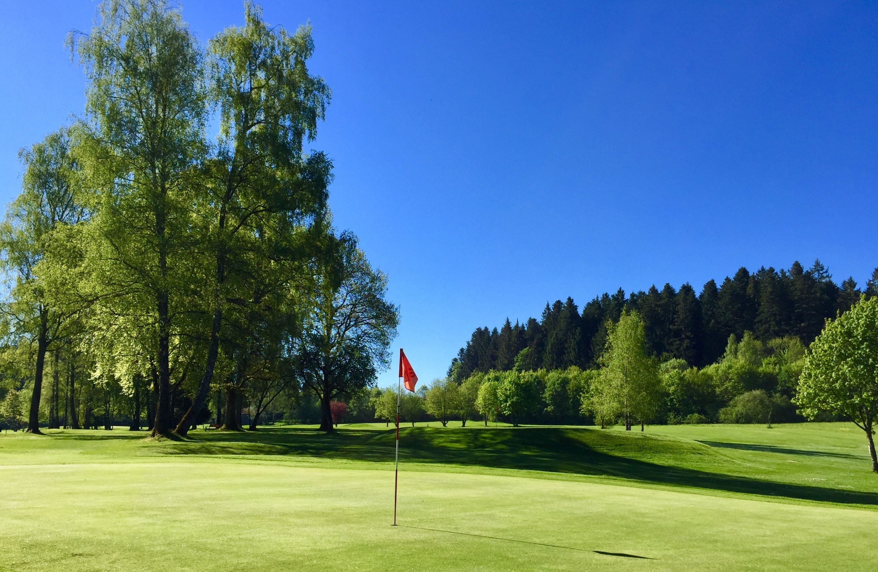 Un campo de golf con un mástil de bandera, árboles y un cielo azul despejado.