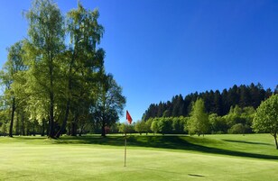 Un campo de golf con un mástil de bandera, árboles y un cielo azul despejado.