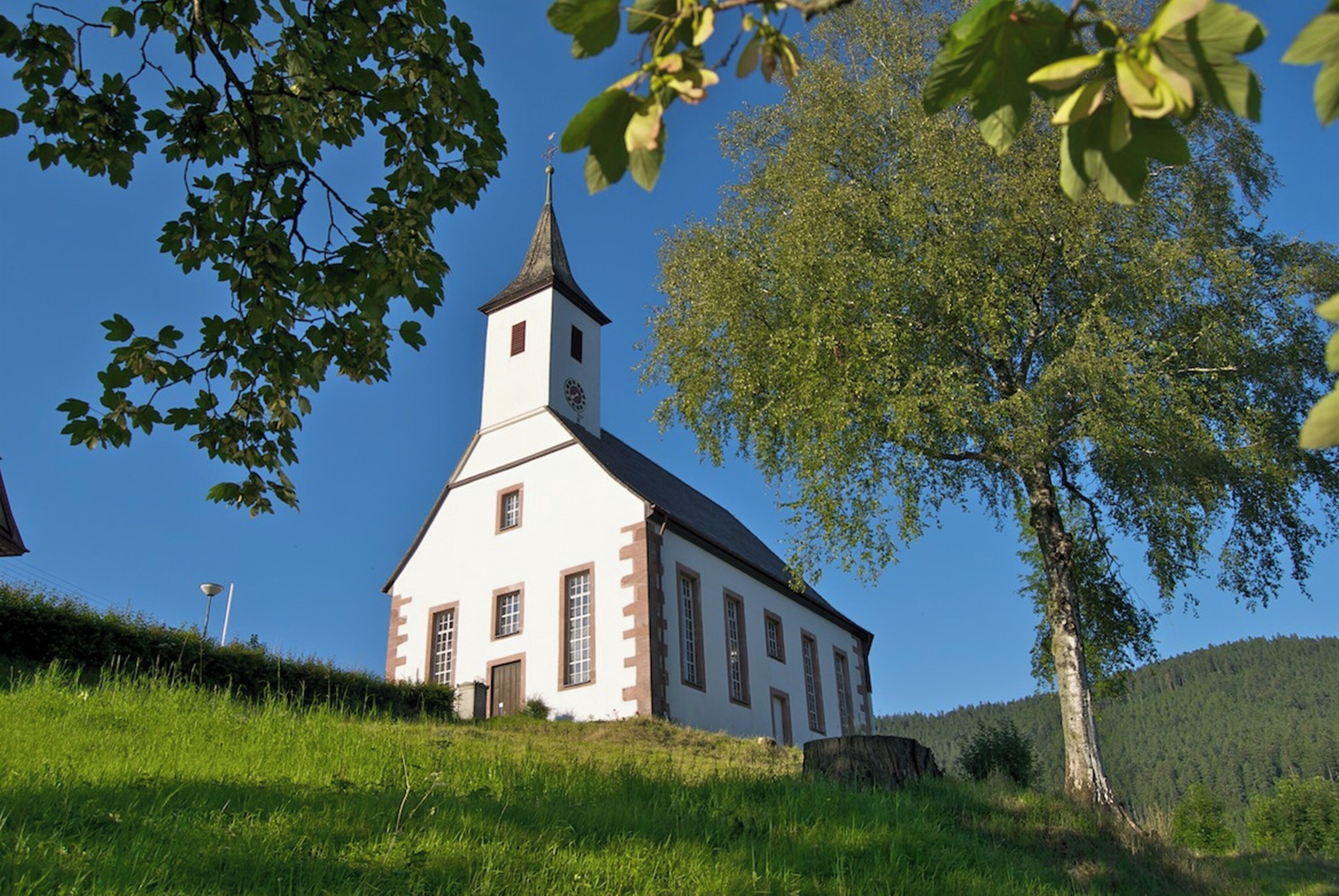 Una iglesia blanca con campanario, rodeada de césped y árboles.