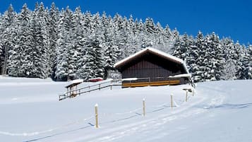 Un chalet de montagne enneigé, avec une façade en bois, entouré d’arbres couverts de neige.