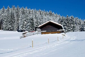 Una cabaña de montaña cubierta de nieve con fachada de madera, rodeada de árboles cargados de nieve.