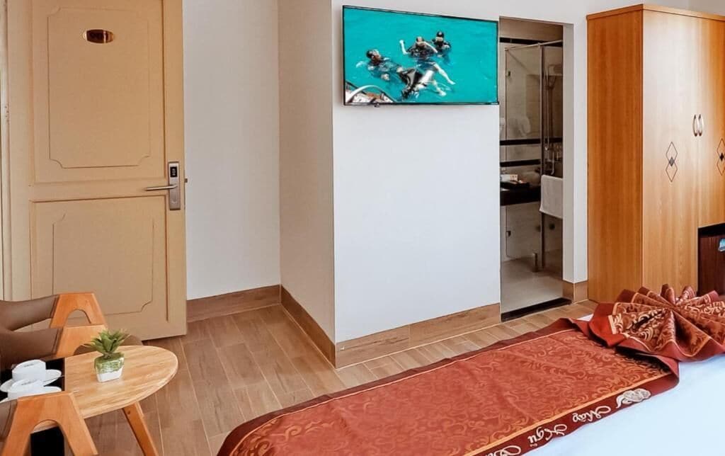 Habitación de hotel con televisor montado en la pared, armario de madera, una mesita con una planta y una alfombra roja estampada.