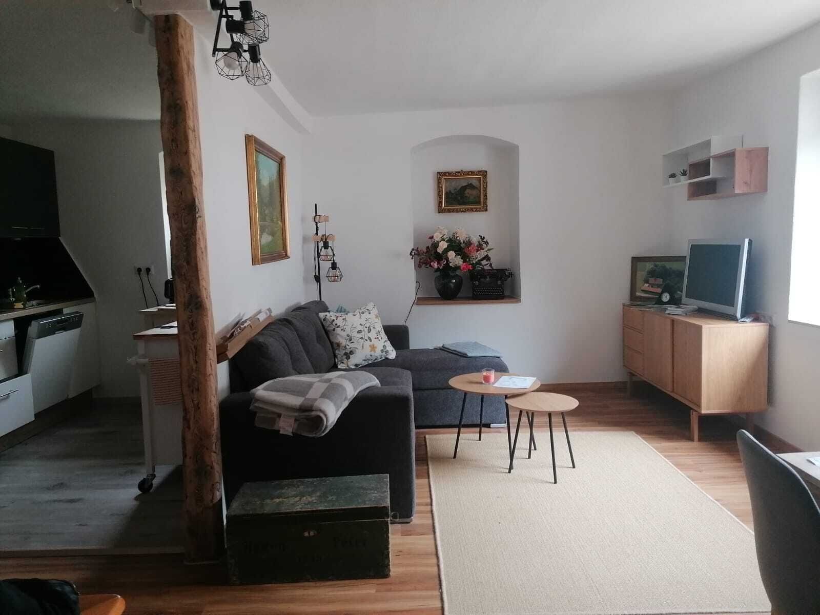 Fernseher