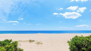 Ein Strand mit blauem Himmel und ruhiger See.