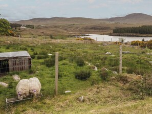 Property grounds - Hanowen House (Dungloe)