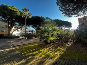 Zona residencial con sendero pavimentado, árboles y edificios de varios pisos.