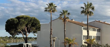 Alberca