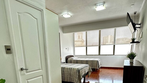 Quarto com piso de madeira, duas camas com roupa de cama listrada, uma planta em vaso, uma escrivaninha e uma janela grande com vista para edifícios.