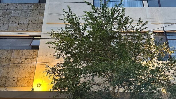Um edifício com vários andares, uma árvore na frente, um portão e um carro estacionado.