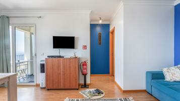 Fernseher