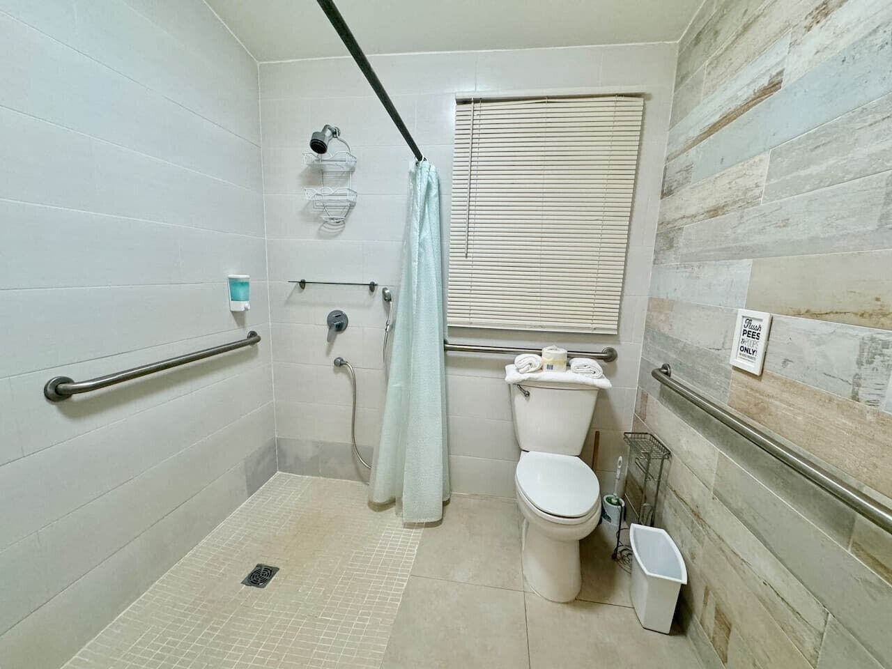 A bathroom with a shower, toilet, and handrails.