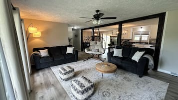 TV connectée, cheminée, livres