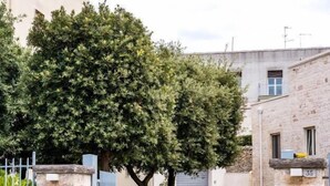 A gated entrance with a stone wall, a metal gate, and a paved path leading to a building with a stone facade. - Villa Aurelia (Locorotondo)