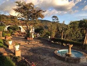 A courtyard with a fountain, stone pathway, and potted plants. - Hotel Puntalarga (Nobsa)