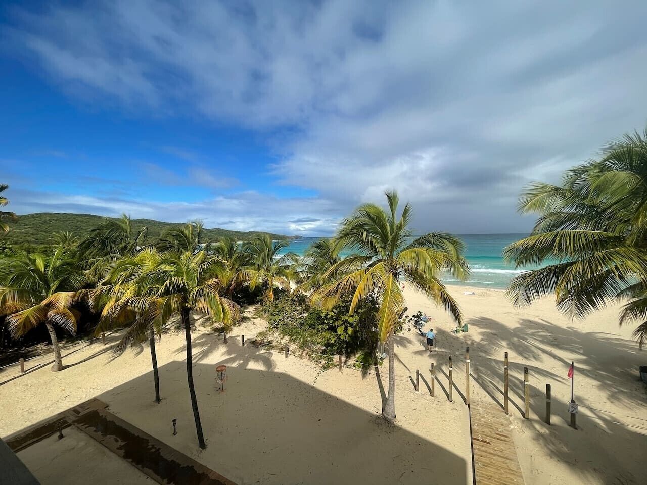Ein Strand mit Palmen, einem Sandweg und Blick auf das Meer.