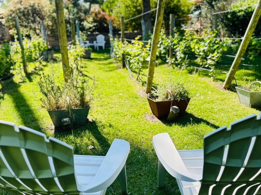 Um jardim com cadeiras, plantas em vasos e uma cadeira branca ao fundo.