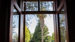 A view through a window with a wooden frame, leading to a well-maintained garden with trees and a lawn. - Casa de Coria (Chacras de Coria)