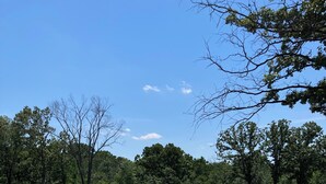 A fenced outdoor area with a pond, trees, and a clear sky. - Sweetdillatpicklesgap (Conway)