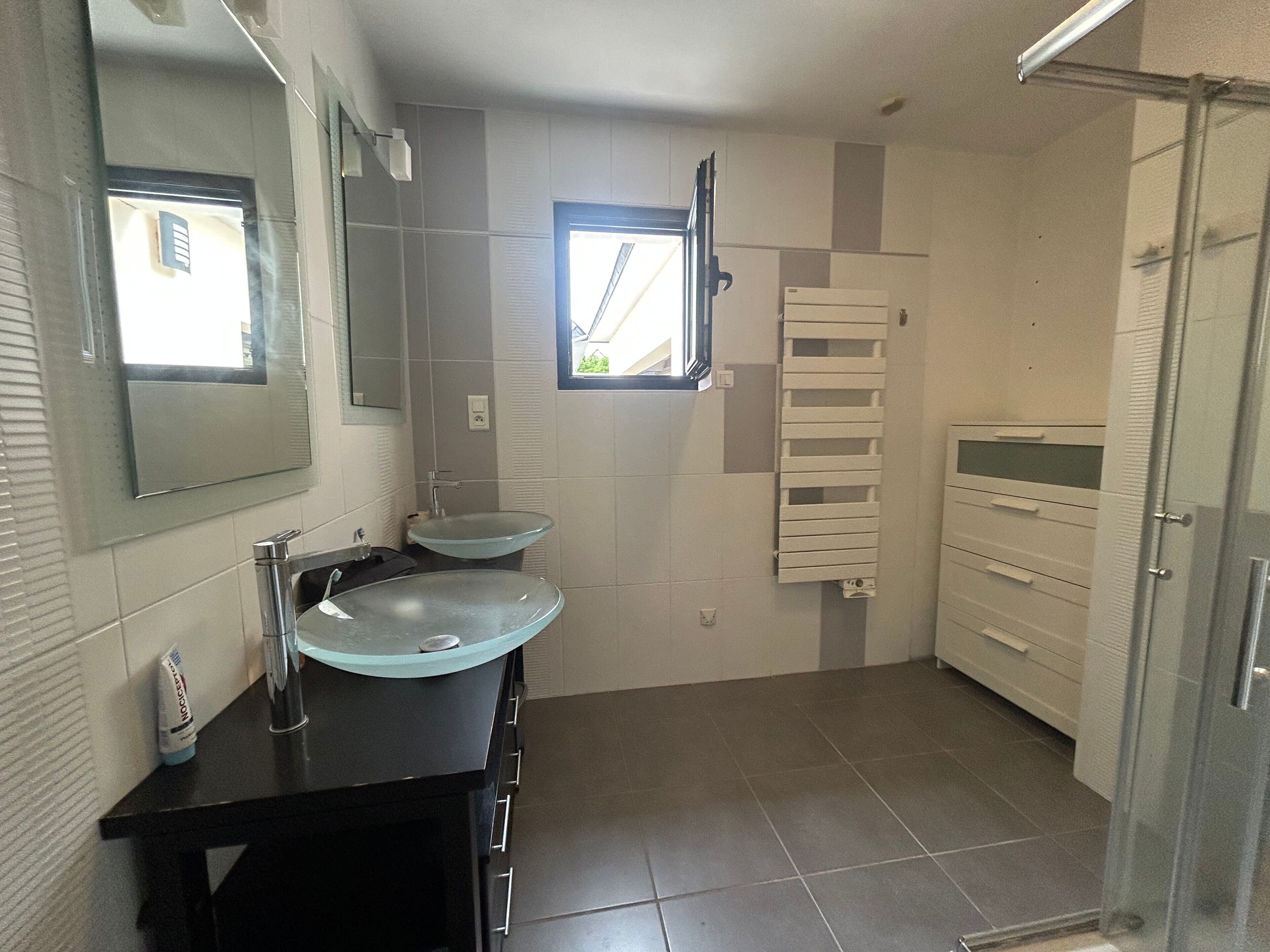 Shower, hair dryer, towels
