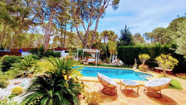 Ein Pool mit Liegestühlen und einer Pergola, umgeben von Pflanzen und Bäumen.