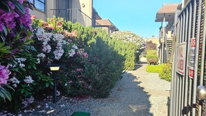 A pathway leading to a gated entrance with a security camera, surrounded by lush greenery and flowering plants. - Beautiful stylish vacation, Dream home (Kent)
