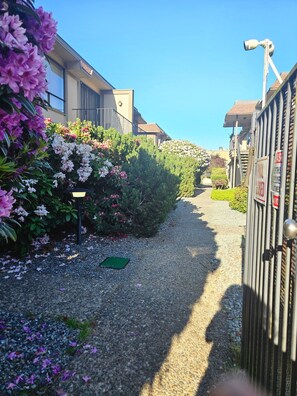 Un chemin menant à une entrée fermée par un portail, surveillée par une caméra de sécurité, et bordée d’une végétation luxuriante et de plantes en fleurs.