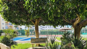 Un banco, un árbol, una piscina y una cancha de tenis.