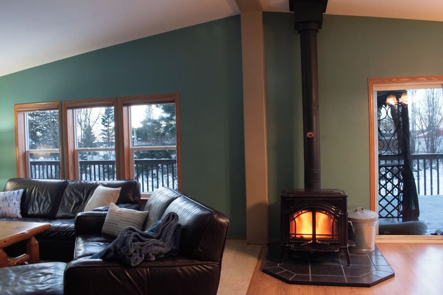 Smart TV, fireplace, books, music library