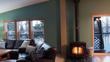 Smart TV, fireplace, books, music library