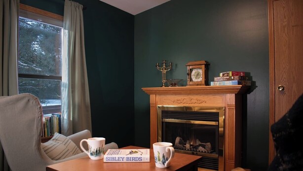 A cozy room with a fireplace, a wooden table with books and a mug, a chair, and a window with curtains.