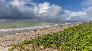 Une plage avec un rivage sablonneux, une végétation verdoyante et un ciel nuageux.