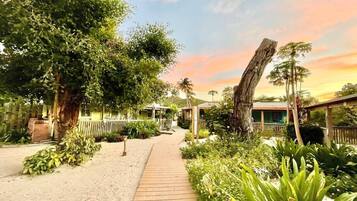 A pathway leading to a building with a wooden deck, surrounded by lush greenery and trees.