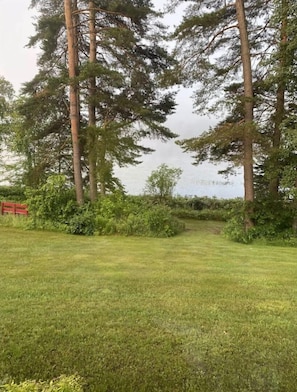 Ruohikkoalue, jossa on korkeita puita ja punainen penkki.