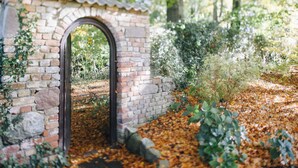 Ein steinerner Torbogen, der in einen Garten mit herabgefallenen Blättern und viel Grün führt.