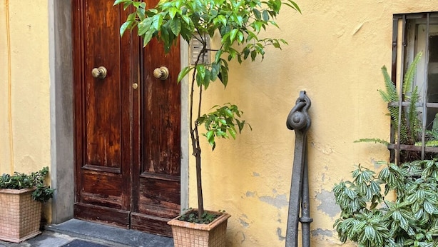 Un edificio amarillo con puerta de madera, una planta en maceta y un adorno de ancla metálica.