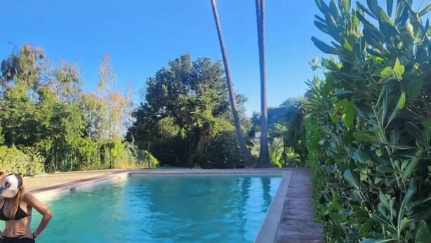 Una piscina con vistas a altas palmeras y follaje denso.