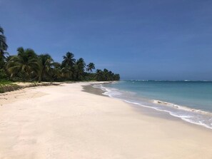 Una playa con agua cristalina, palmeras y una orilla arenosa.