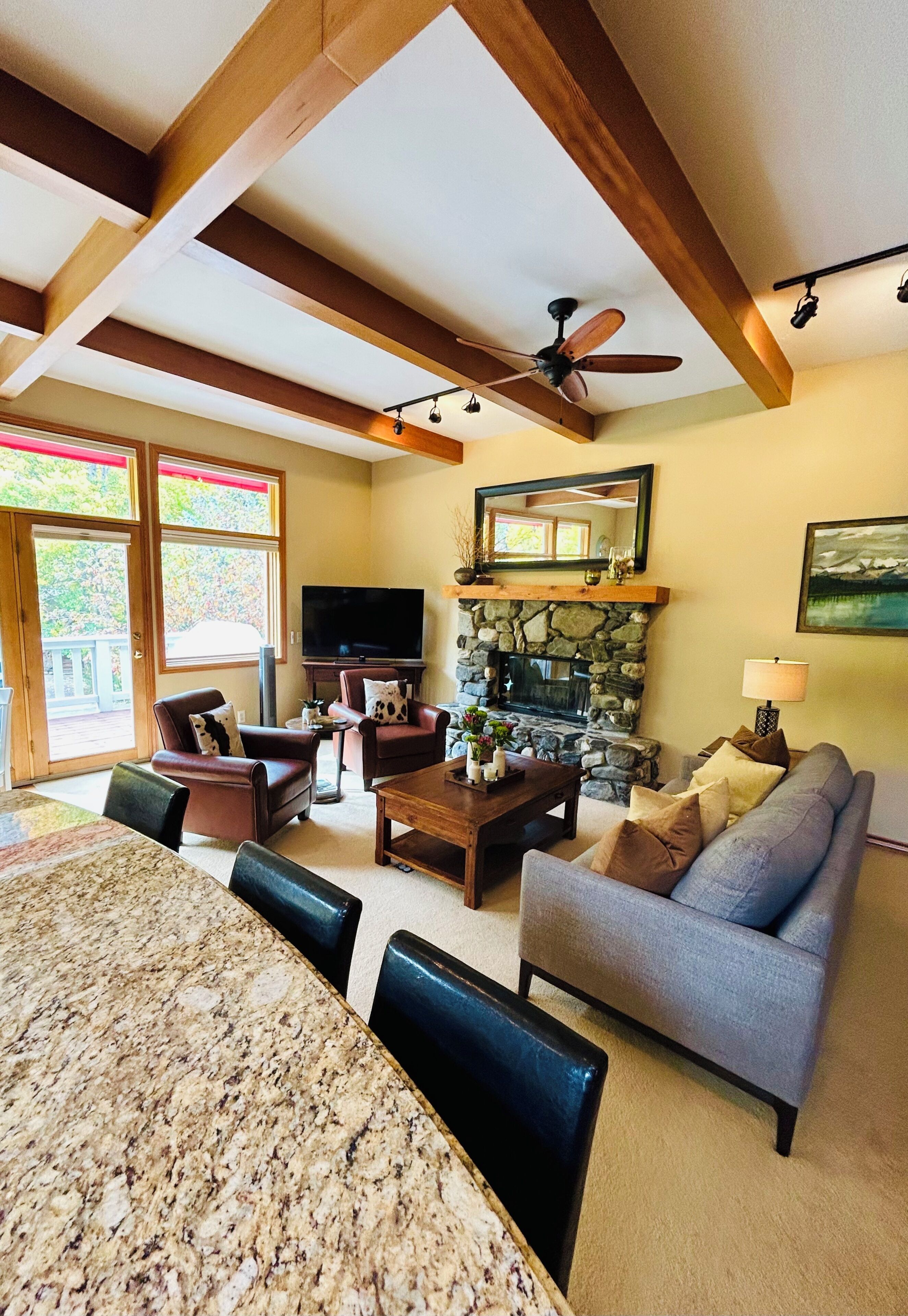 Smart TV, fireplace, video games, books