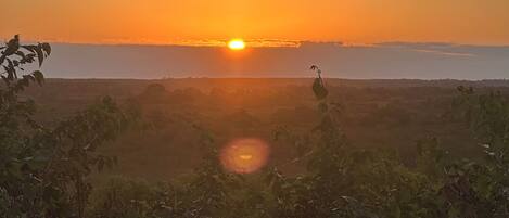 Un coucher de soleil sur un paysage vallonné, avec une végétation au premier plan.