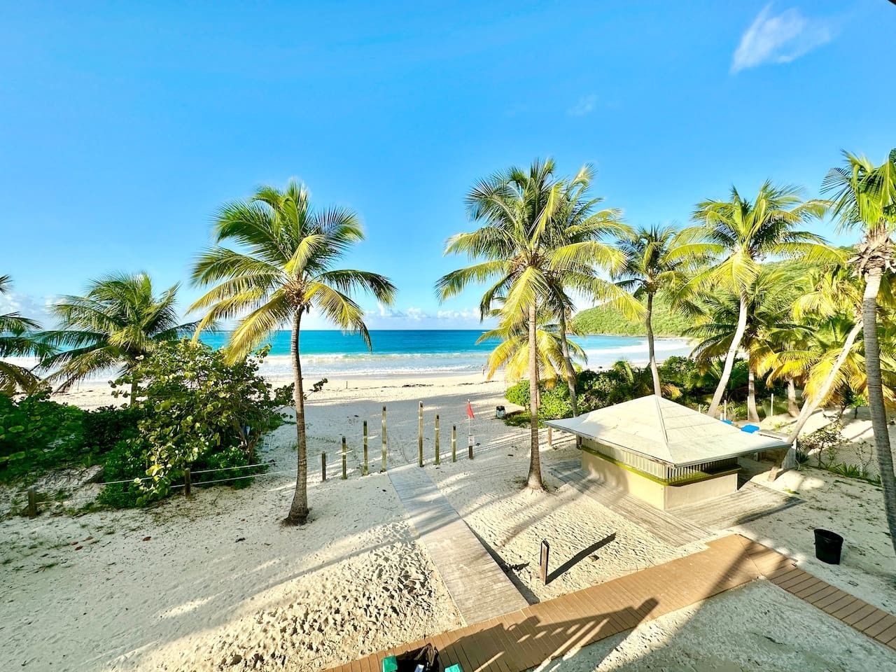 A beach view with palm trees, a sandy path, and a small structure.