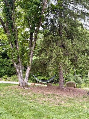Terrain de l’hébergement 