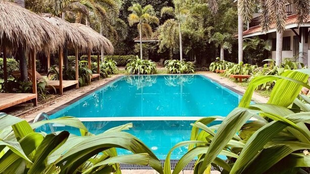 Una piscina rodeada de plantas tropicales y una estructura con techo de paja.